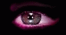 Orcheste Clin d'Oeil